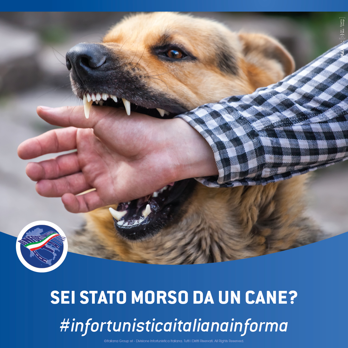 morso da un cane risarcimento danno