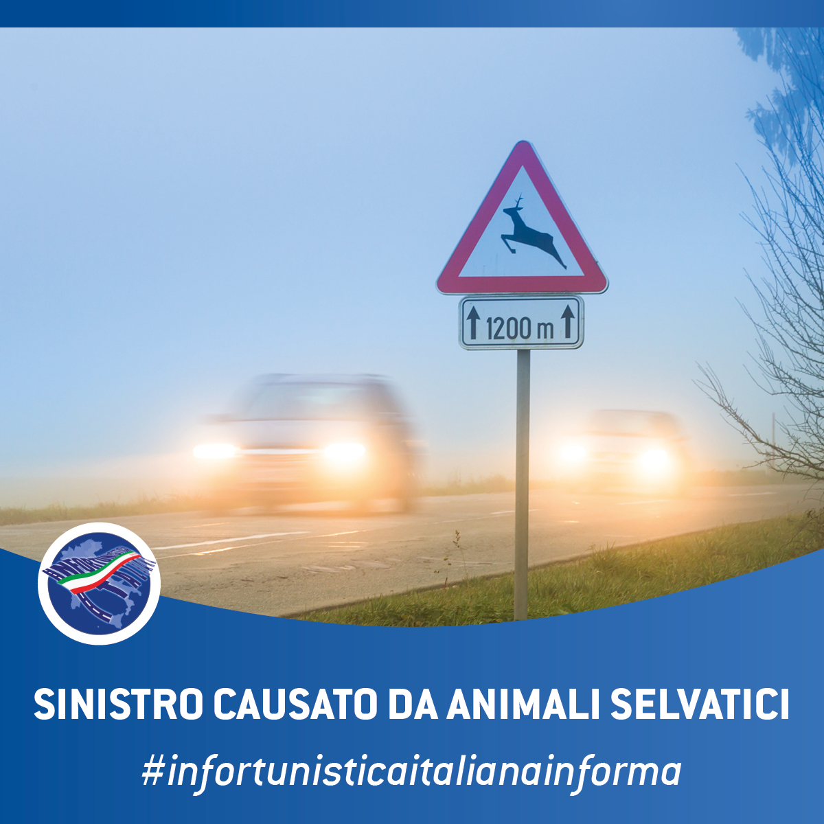 sinistri causati da animali selvatici